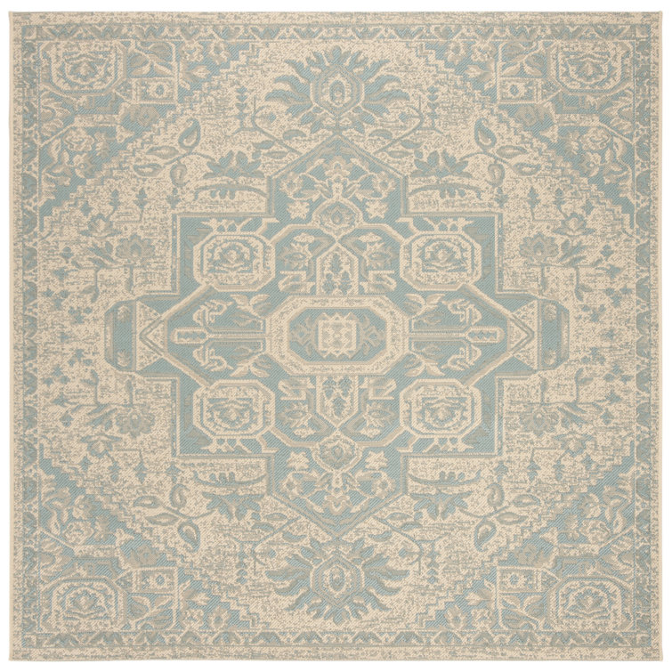 Danya Aqua/Cream Indoor/Outdoor Area Rug