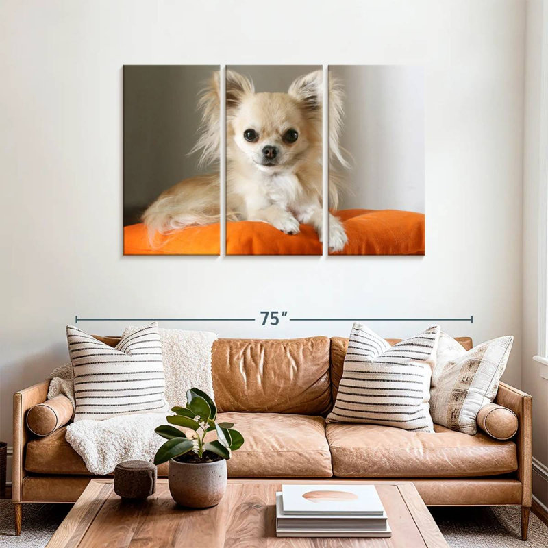 Chihuahua On Pillow, 36" H x 57" W
