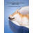 Frantzy Cotton Pet Bed-1258781378
