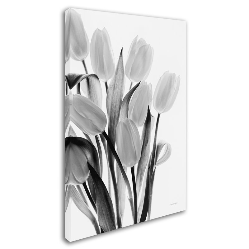 Davlin «Shadows and Light II», impression sur toile tendue, H 32 po x l 22 po