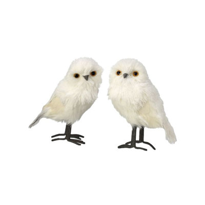 White owl 2