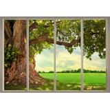 Old Tree And Meadow