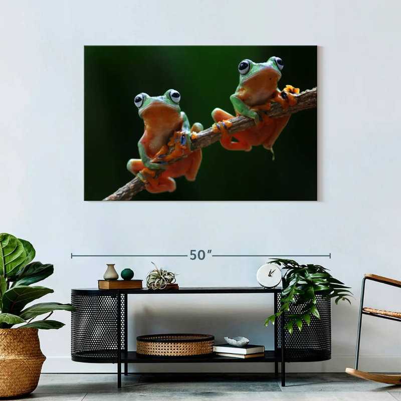 Two Wallace's Flying Frogs, 30" H x 45" W