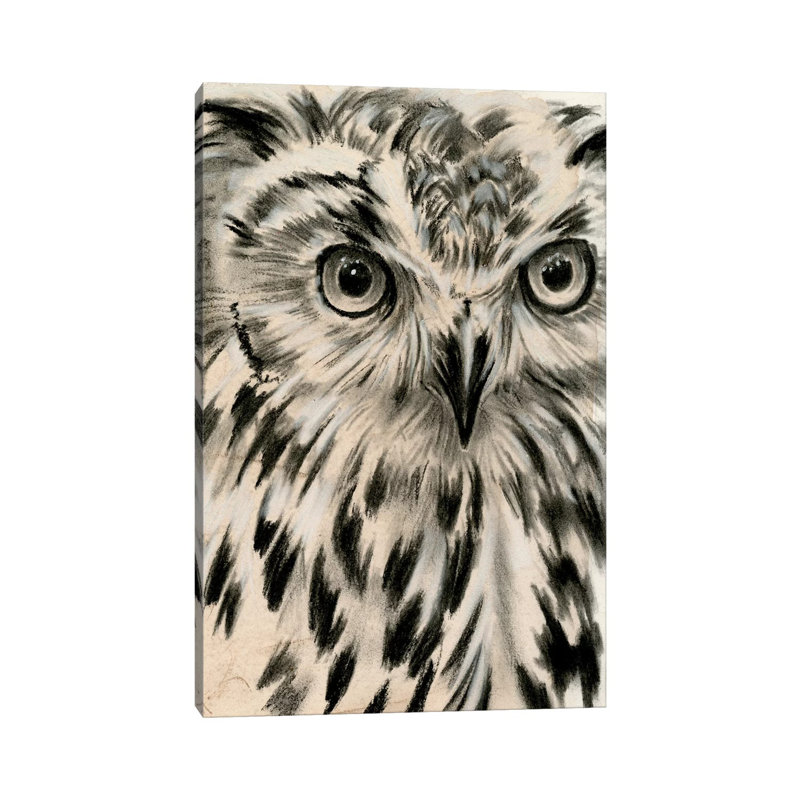 Charcoal Owl I- Gallery-Wrapped Canvas Giclée, 40" H x 26" W