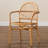Charnessa Rattan Arm Chair in Brown