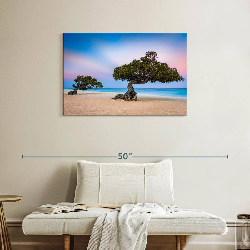 Harnek Divi Divi Trees, H 24 po x l 36 po
