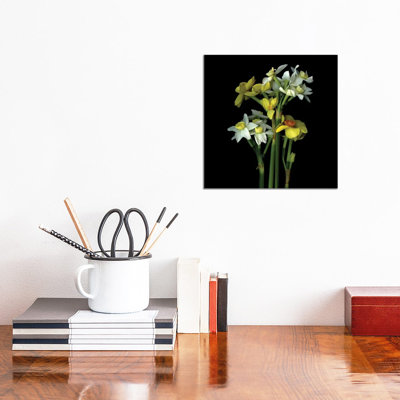Daffodil Small VI by Magda Indigo - Wrapped Canvas Gallery-Wrapped Canvas Giclée