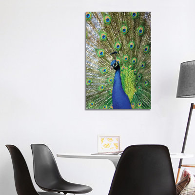 Beauty IV 1 Piece Wrapped Canvas Wall Art