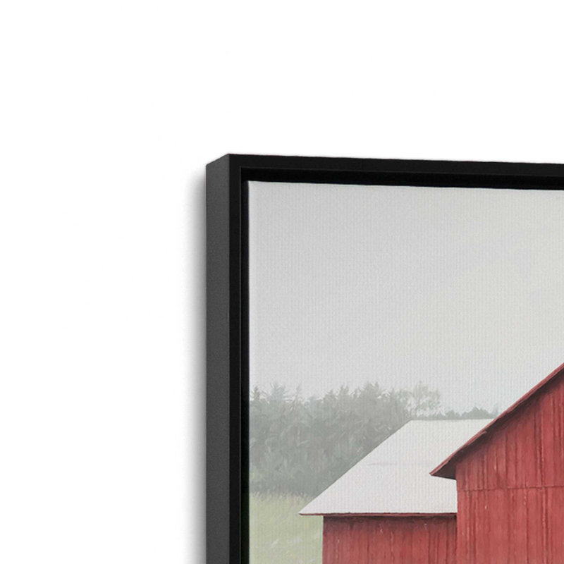 «USA Morning Glory» par Lori Deiter, reproduction d'art, 40 W x 30 H, Black, Framed Canvas