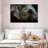 Asian Elephant Eye-107705499