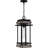 Acoidan 1-Light Matte Black Outdoor Hanging Lantern