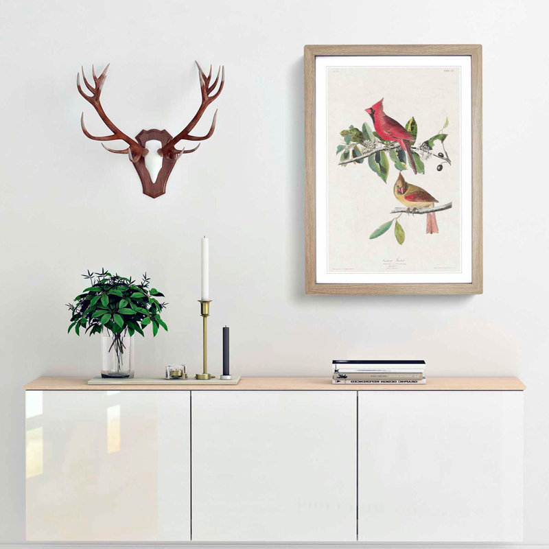 Cardinal Grosbeak Birds by John Audubon - Picture Frame Painting Print, Oak Framed, 65cm H x 48cm W x 2cm D