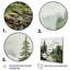 Pin sauvage - impression-1339884274-1339884170