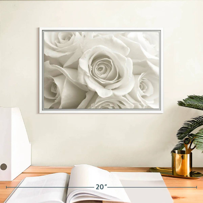 Roses blanches pures, Cadre flottant blanc, 13 po x 9 po