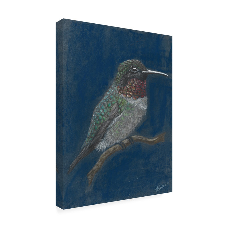 Art sur toile Colibri, thon roux, thon, H 24 po x l 18 po