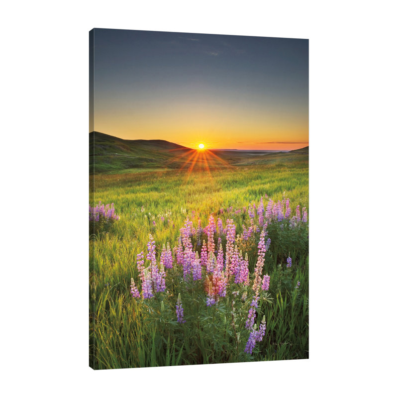 "Prairie Sunrise", toile tendue par Alan Majchrowicz, H 48 po x l 32 po x P 1,5 po