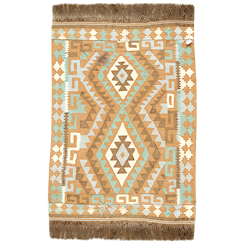 Hand Knotted Wool Area Rug