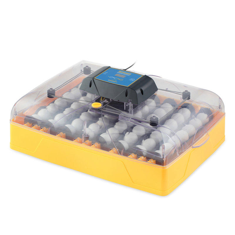 Ovation 56 Yellow and Clear Digital Egg Incubator