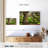 Harnek Live Oak Tree-107863296