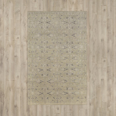 Chebanse Ikat Indoor Rug