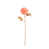 Apricot is out of stock selected