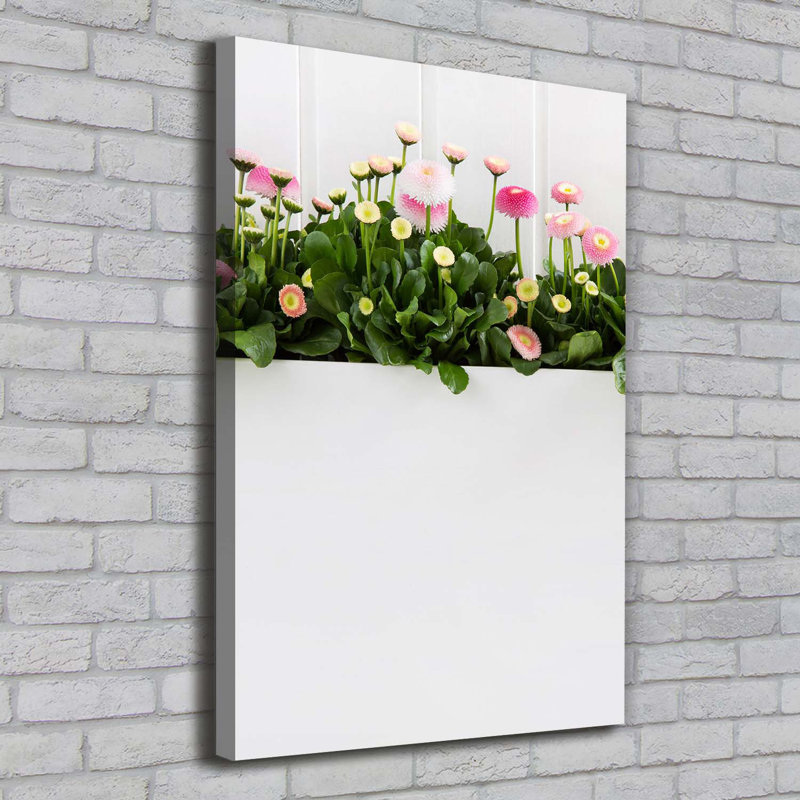 Pink Daisies - Wrapped Canvas Print