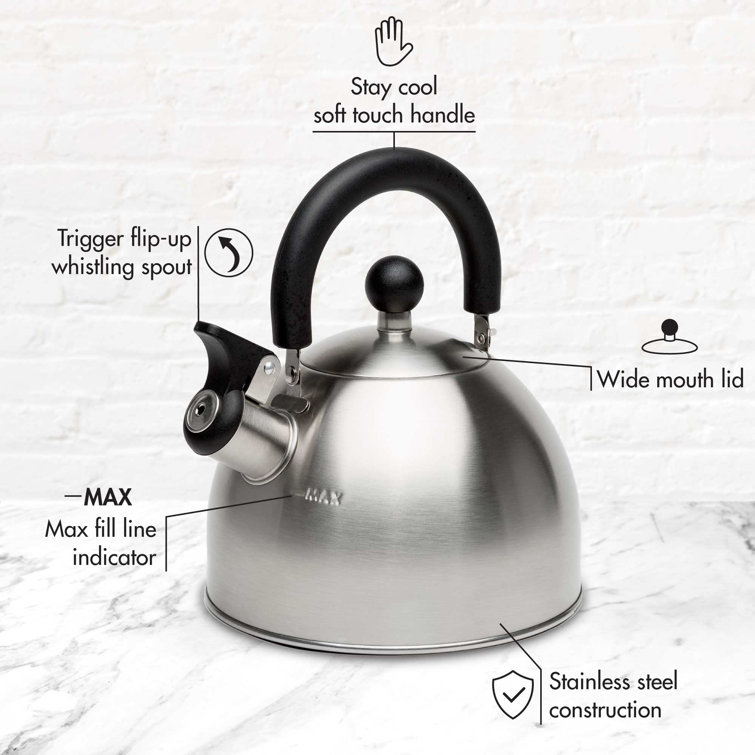 Le Creuset Demi 1.25-Qt. Stovetop Whistling Stainless Steel Tea Kettle +  Reviews
