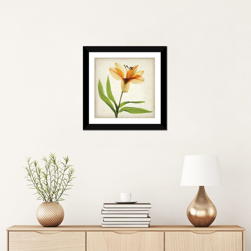 « parchemin floral xi », impression sur toile, H 24 po x l 24 po x P 1 po, Papier d'art encadré noir, Blanc