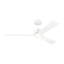 Rozzen Downrod Ceiling Fan-111282299-75885278-87900162