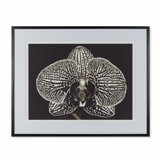 Black Orchid Print