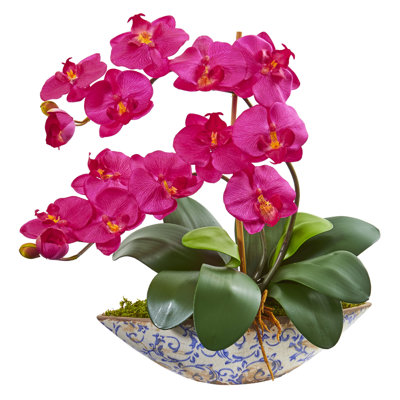 Orchid Arrangement in Vase