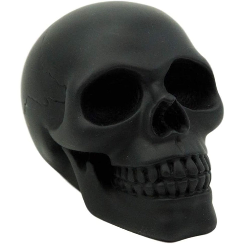 Figurine pirate crâne humain d’Etheline pirate butin, Noir
