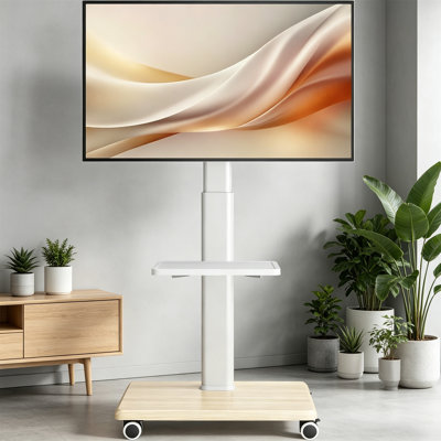 Naomi Electronic Mount