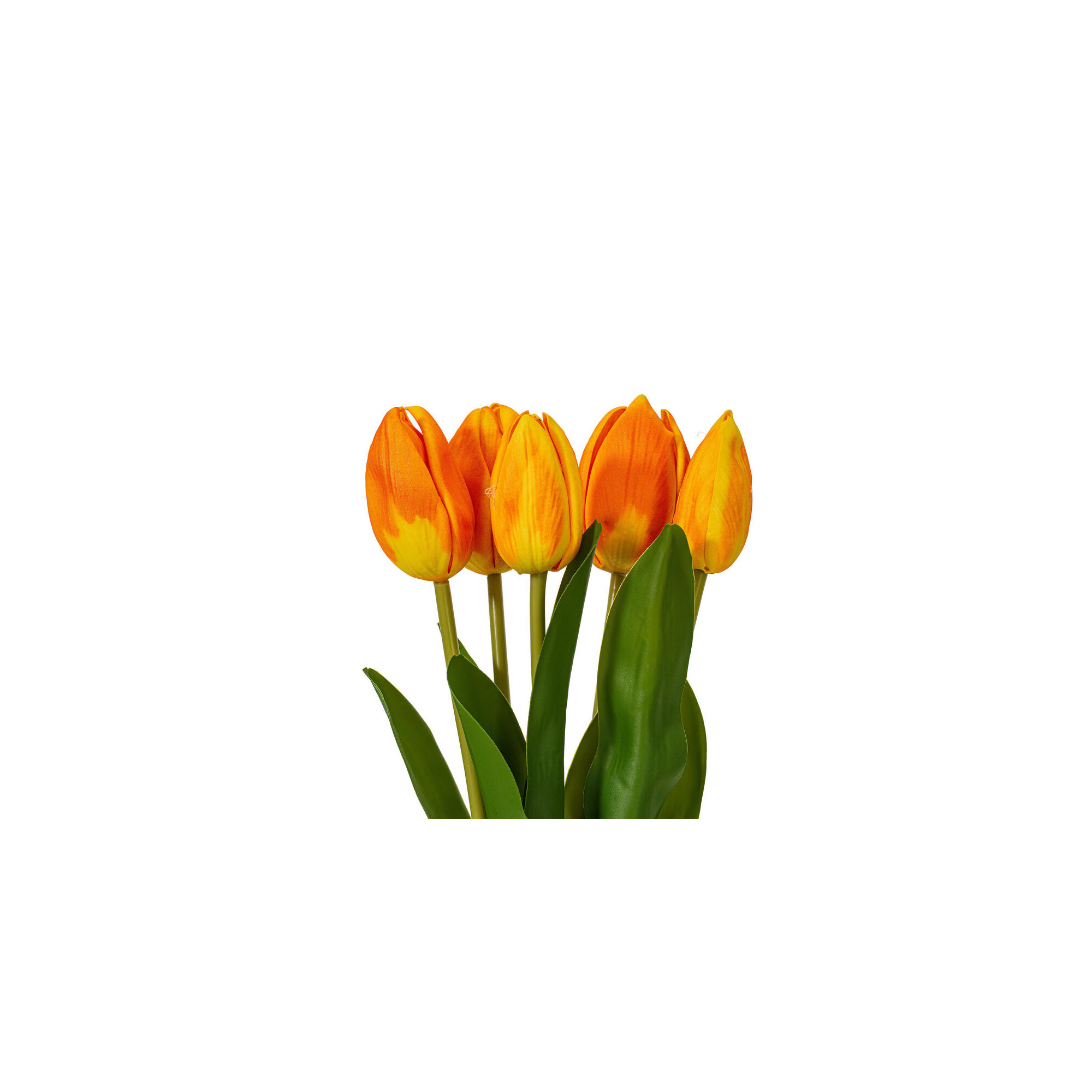 16"H Plum Tulip Bundle of 5., Orange