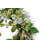 Faux Berry Polyester 22'' Wreath