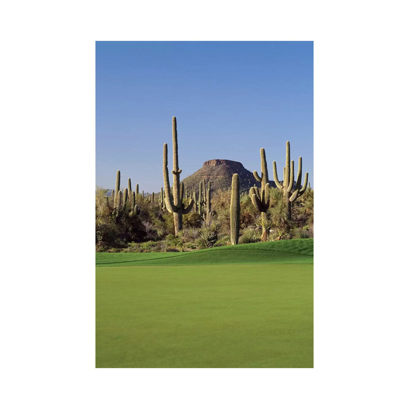 Saguaro Cacti In A Golf Course, Troon North Golf Club, Scottsdale, Maricopa County, Arizona, USA by Panoramic Images - Wrapped Canvas Print