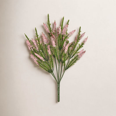 Blazing Star Stems