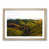 Oak Framed