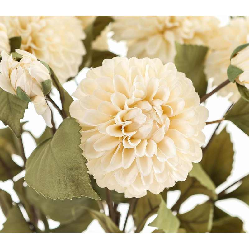Anastasija Arrangement, White
