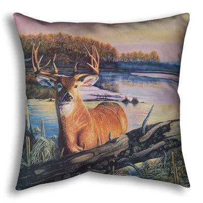 Throw Pillow, Kaleidocat by Robert Blehert