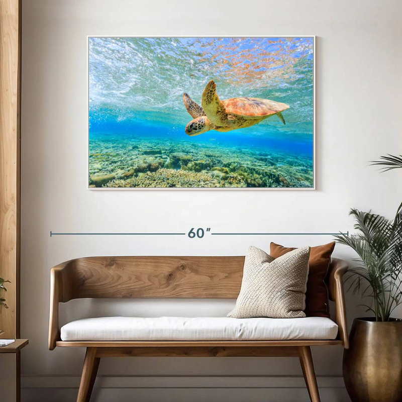Plongée tortue, 46 po x 31 po, Cadre flottant blanc