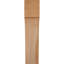 Attelle de genou Westlake-29310046-31230041-31230610