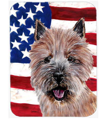 Trinx Patriotic Norwich Terrier with American Flag USA Glass Cutting ...
