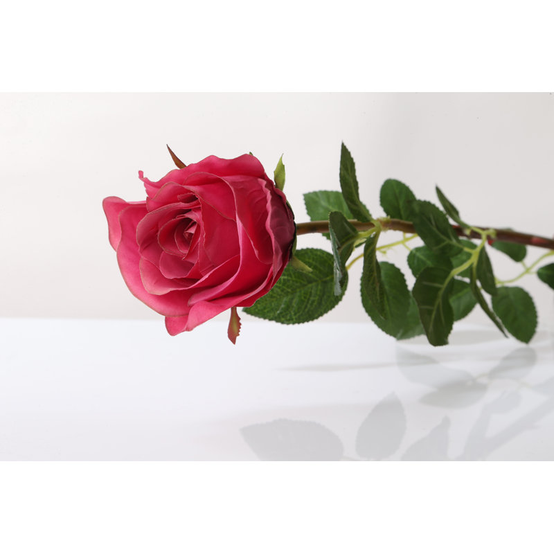 Large bud Rose, Dark Pink