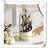 Aveyah Plastic Compartment Makeup Organiser-753643453