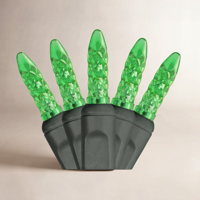 288'' LED String Lights