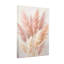 Herbe de pampas rose et beige douce Plants & Flowers-357366112
