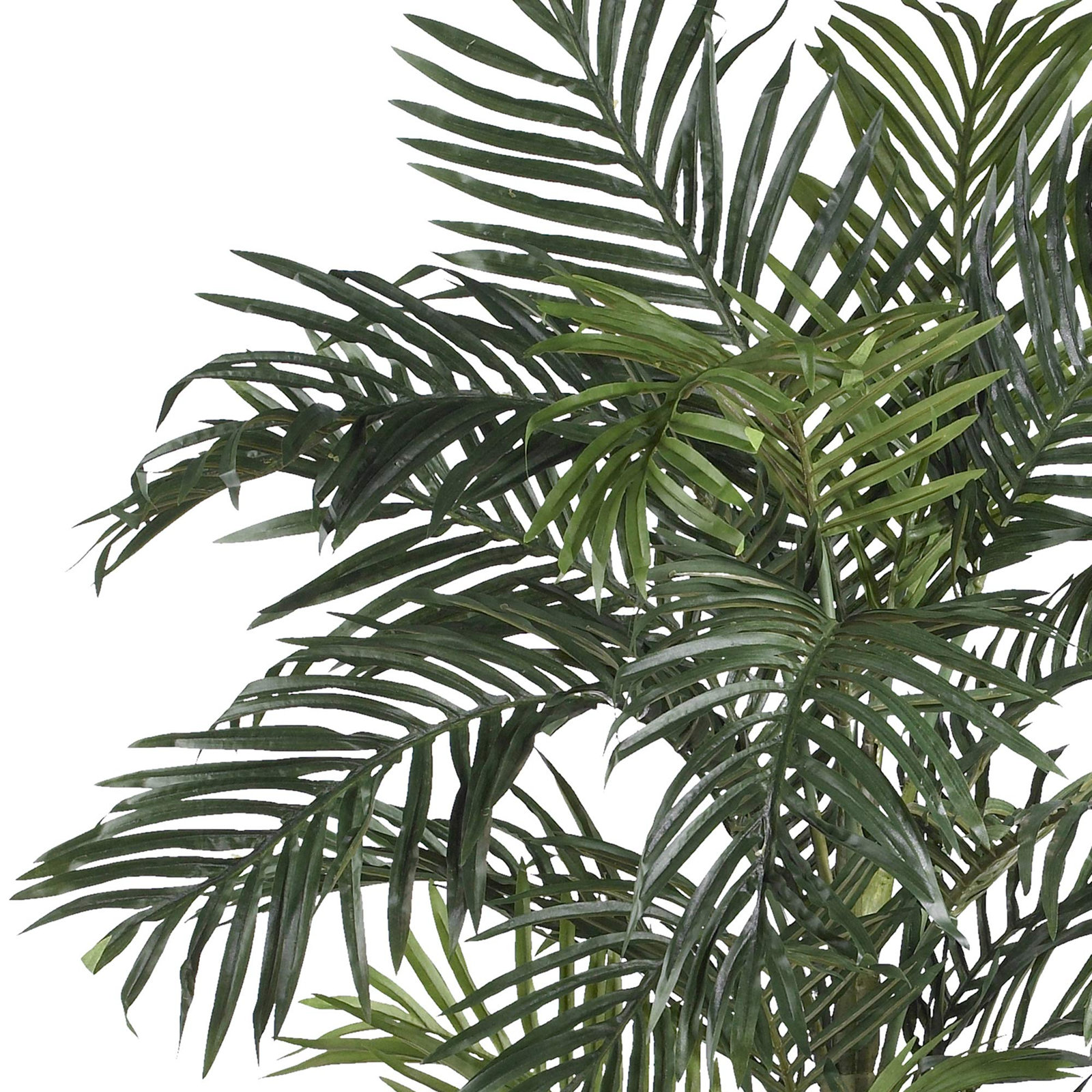 78" Palm Tree in Pot