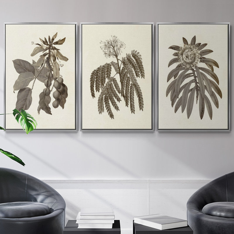 Sépia Botanical Journal VI 3 pièces, H 27 po x l 54 po, Argent