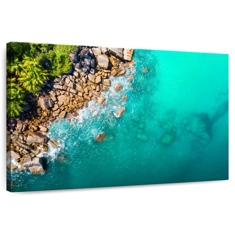 Gillard Seychelles Shark Gillard, 8" H x 12" W